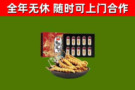 南康烟酒回收冬虫夏草礼盒.jpg